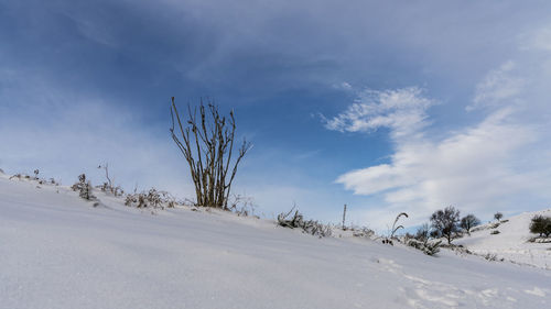 Scenic view of landscape against sky during winter