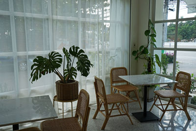 Interior design decoration of cafe and bakery shop decorated with wooden furniture and plant pots