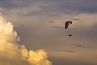 Low angle view of person paragliding against sky during sunset