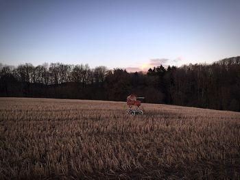 People walking on grassy field against sky