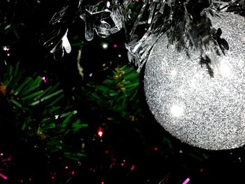 Close-up of christmas tree at night