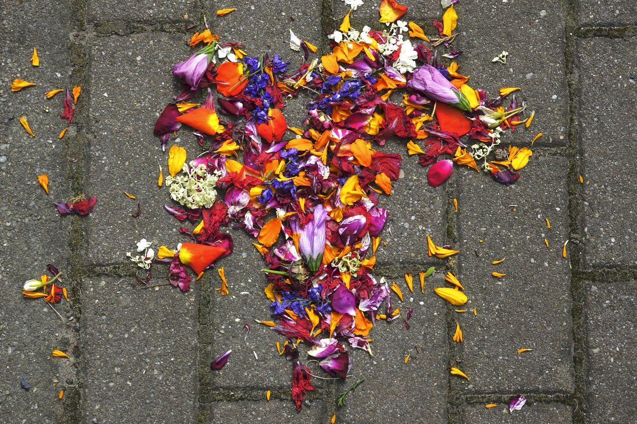 HIGH ANGLE VIEW OF AUTUMN LEAVES ON ROAD