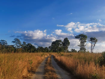 Road amidst trees on field against sky