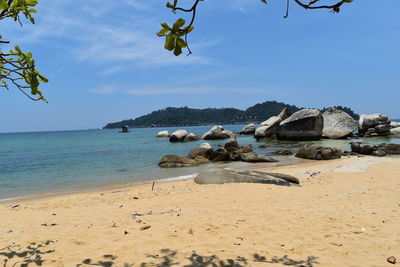 Birds on beach against sky