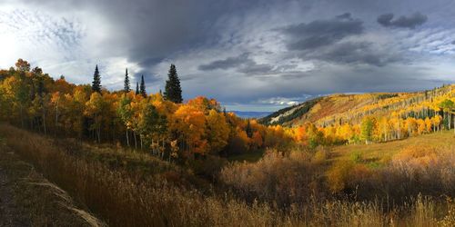 Scenic view of landscape against cloudy sky