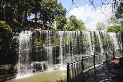 View of waterfall in forest