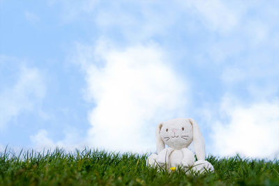 Close-up of stuffed toy on field against sky