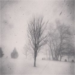 snow