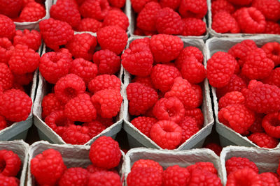 Full frame shot of raspberries in boxes for sale