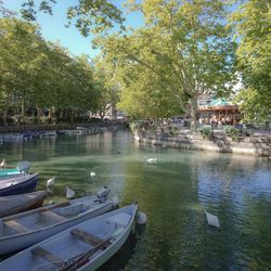 Scenic view of lake by trees in city