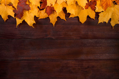 Directly above shot of autumn leaves on table