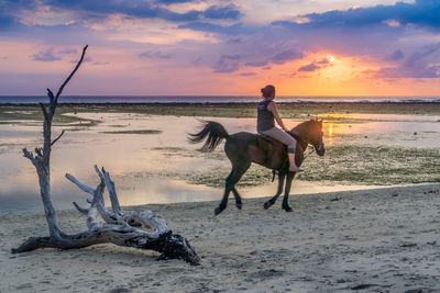 Woman riding horses on beach during sunset
