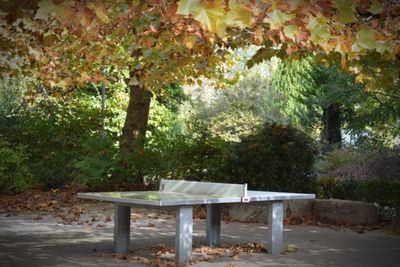 Empty bench in park