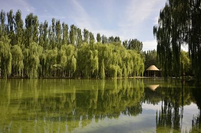 Scenic view of lake against sky