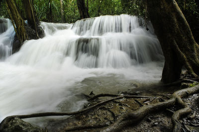 Scenic view of waterfall in forest