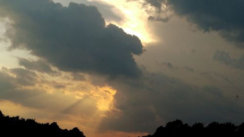 Silhouette of trees against cloudy sky