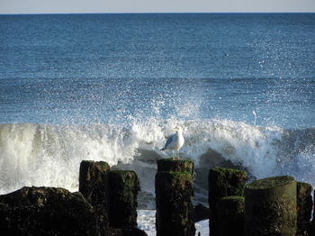 Water splashing in sea against sky