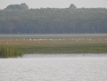 View of a lake