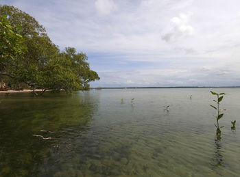 Scenic view of lake against sky