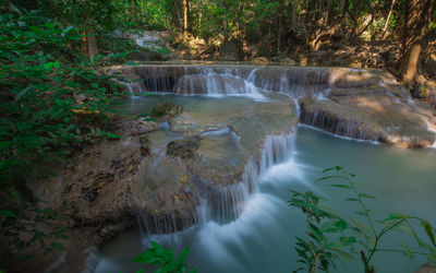 High angle view of waterfall in forest