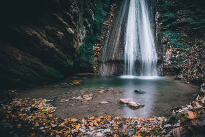 Scenic view of waterfall in forest