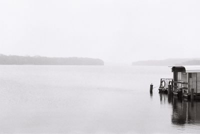 Winterday at the frogy lake