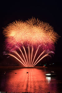 Firework display at night