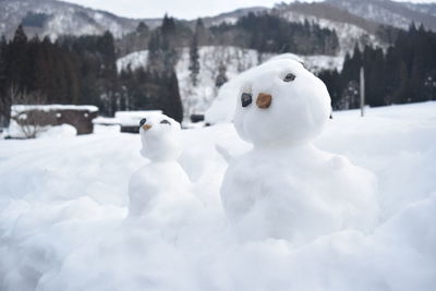 Close-up of snow on land against sky