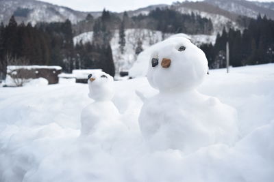 Close-up of snow on land against sky