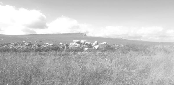 Scenic view of land against sky