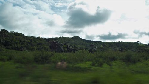Scenic view of green landscape and mountains