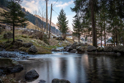 Scenic view of river stream in forest against sky