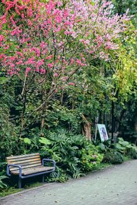 Plants and trees in park