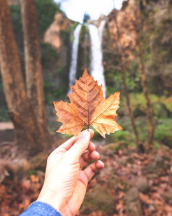 Close-up of hand holding maple leaf against waterfall