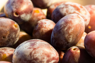 Close-up of fruits for sale in market