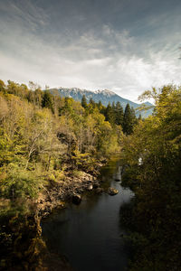 Scenic view of lake amidst trees against sky