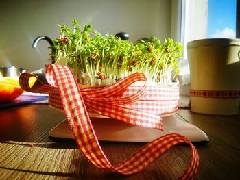 Potted plants in room