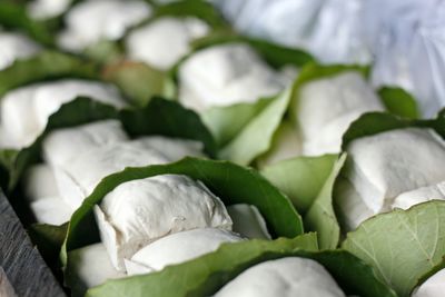 Close-up of vegetables