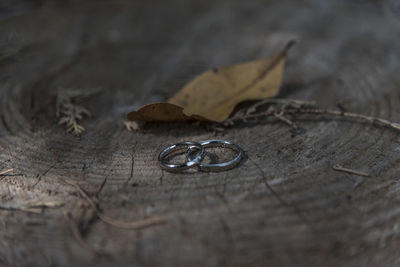 High angle view of dry leaf on table