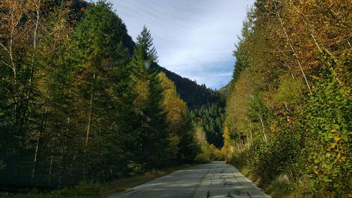 Road amidst trees against sky