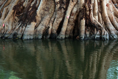 Scenic view of rock formation in sea