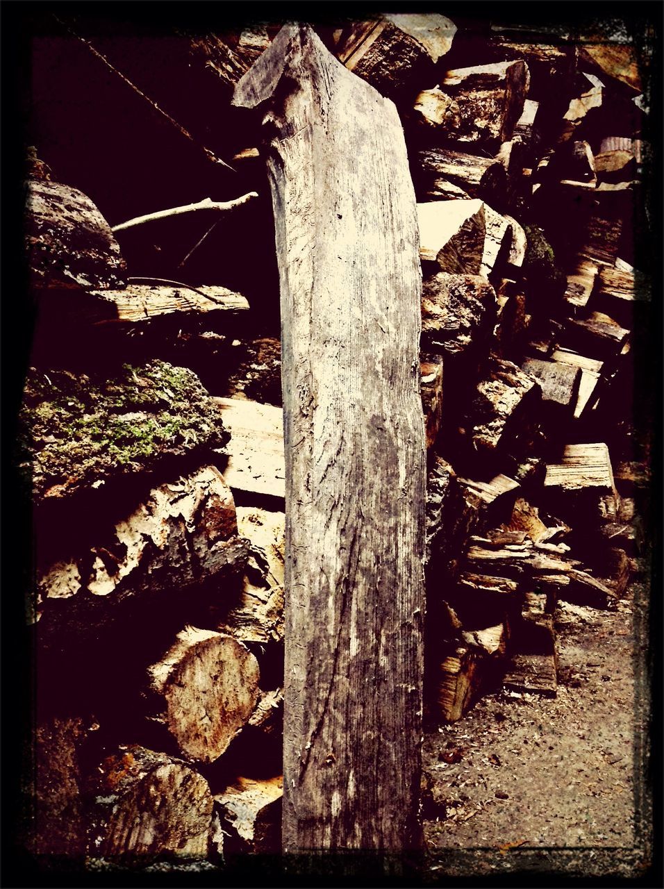 transfer print, auto post production filter, wood - material, tree, night, outdoors, firewood, old, sunlight, no people, growth, close-up, high angle view, large group of objects, abundance, fence, wood, deforestation, metal