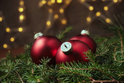 Red glass balls, green spruce branches. christmas and new year