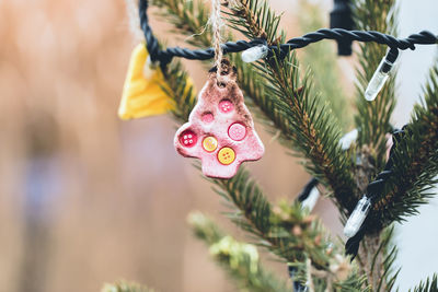 Handmade and homemade baked cookie dough and buttons decorations on a christmas tree outdoor. diy