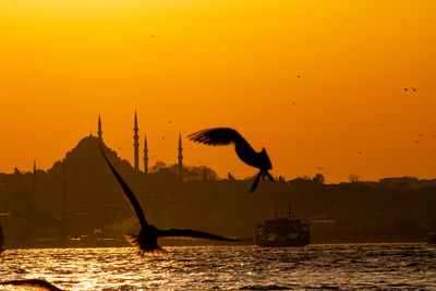 Silhouette birds flying over sea against orange sky