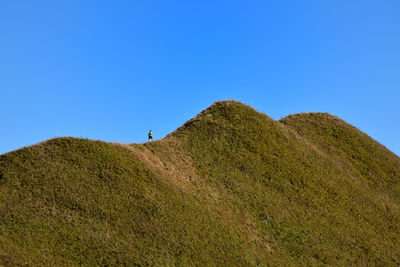 Low angle view of horse on mountain against clear blue sky