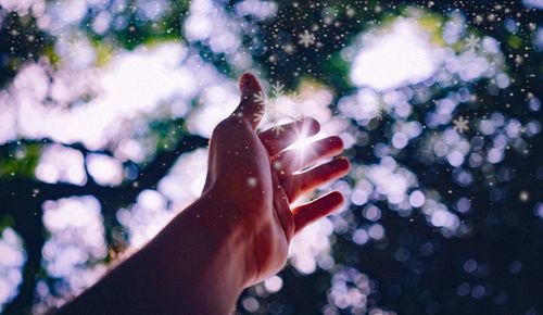 Cropped hand of person against trees