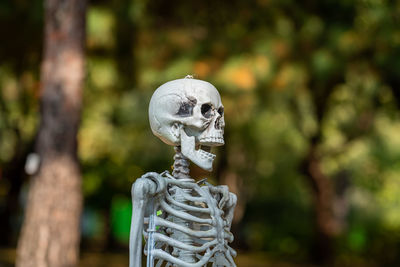 Close-up of human statue against trees