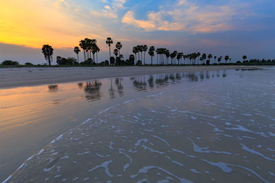 Scenic view of beach against sky during sunset