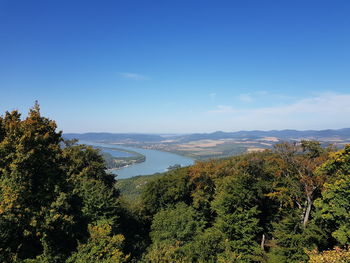 Scenic view of trees against blue sky
